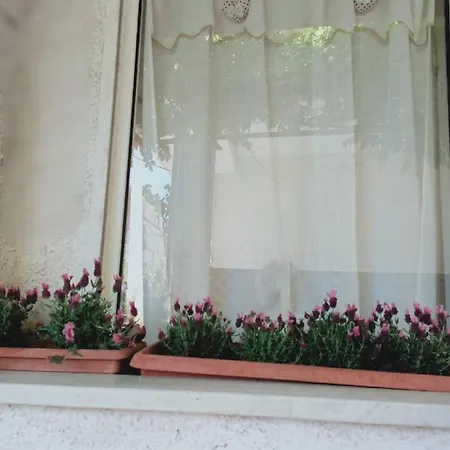 Casa Giardino * Scauri (Lazio)